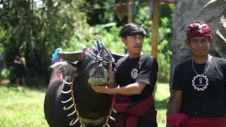 PROSESI PEMAKAMAN ALMH. LAI' BIU' (NENEK IKA) MA' PASA TEDONG PART 2