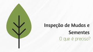 Inspeção de Mudas e Sementes