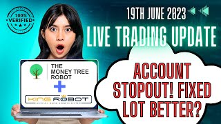 King Robot and MoneyTree - Account Stopout and Fixed Lot size trading! 19th June 2023