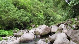 la reunion ocean indien