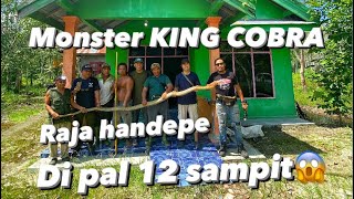 🔴MONSTER KING COBRA‼️Hampir di tembak Warga❗️CRAZY SNAKE‼️😱⚠️