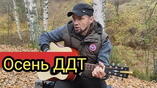 Осень (кавер) ДДТ | Последние осенние деньки #ддт #осень #музыкаструн