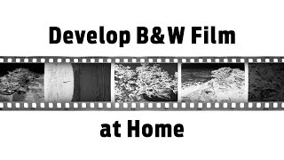 Develop Black and White Film at Home