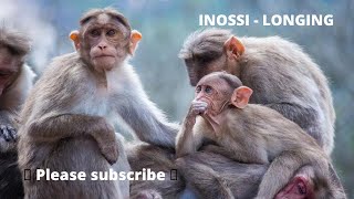 INOSSI - Longing ( Songs No Copyright ) FREE MUSIC - MUSIC NO COPYRIGHT