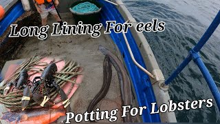 Long Lining & Potting For Lobsters