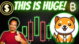 TOP 3 Baby Doge BULLISH Updates For This BULL RUN