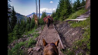 Packing Into The Absaroka Bear-Tooth Wilderness, Gallatin N.F. 2018, Day 2