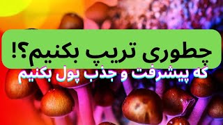 چطوری تریپ بکنیم؟که جذب پول و پیشرفت کنیم