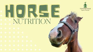 Horse Nutrition with Dr. Rena Chang