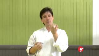 Karate - Closed hand strikes Part 2