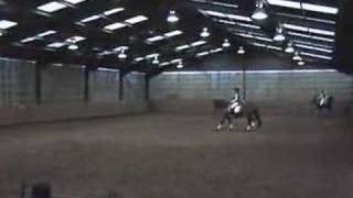 Dressage & Principles Of Classical Riding