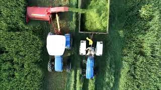 New Holland Mower 38 - Harvesting wheat for silage