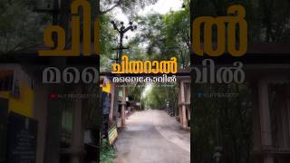 ചിതറാൽ ജൈനക്ഷേത്രം (9th Century) KLP TRAVELLER | KL PRADEEP #chitharal #jainism #adventure #minivlog