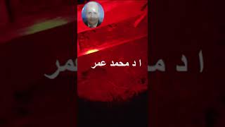 هل ينام النحل وماذا يفعل خلال ساعات الليل للاستاذ الدكتور محمد عمر