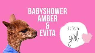 Baby Shower baby alpaca Evita en moeder alpaca Amber