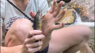 Fishing for brook trout at a remote pond and stream