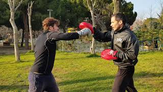 Cleto reyes fight gloves focus mitts