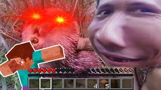 Minecraft Tarzan Mod Meme