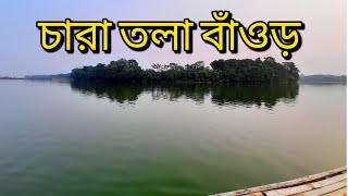 চারা তলা বাঁওড় এ এক দিন। হরিনাকুন্ডু রোড, ঝিনাইদহ।