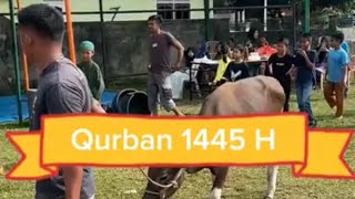 Qurban RT 4