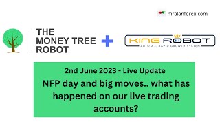 King Robot and MoneyTree update - NFP big movement - 2nd June 2023