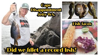 Greenling, Black rock fish & Striped Sea perch (Jetty fishing in the Colombia River in WA.)