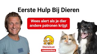 Wees alert als je dier andere patronen krijgt