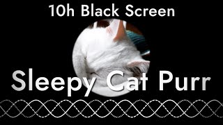 A Sleepy Cat’s Purr Lets You Fall Asleep (10 hours with black screen)