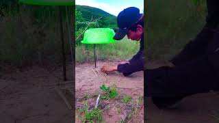 Creative​ ' Unique Quail Trap Using Cover​ Best  #shorts #Channel bird trap