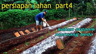 petani harus tau ini !! persiapan lahan bebas Fusarium dan layu Bakteri