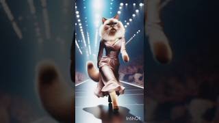 funny & stylish cats/cat videos/fashionable felines! #shorts