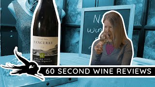 Domaine Gerard Fiou's Sancerre Blanc | Niche Wine Review