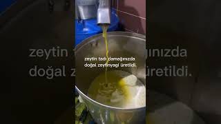 zeytin sıkımı sırası