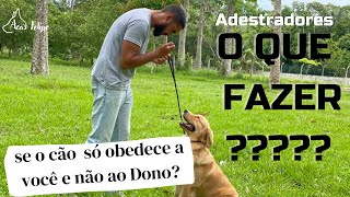 Porque o cão que você adestrou não obedece ao dono?