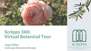 Scripps College: 360 Virtual Campus Botanical Tour