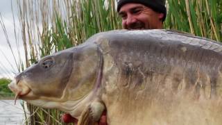 Repeat Offenders Fishing - La Horre 60lbs Carp