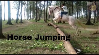 Jumping Horse