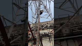 telecom training , use of vertical life line fall arrester on ladder