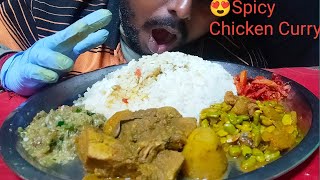 ASMR EATS KOSA🍗CHICKEN CURRY, ROASTED BRINJAL, MIX VEGETABLE WITH DRY FISH