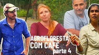 O QUE É CAFÉ ESPECIAL? - Agrofloresta com Café (parte 4)