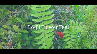 Lo Fi Flower Feel Music