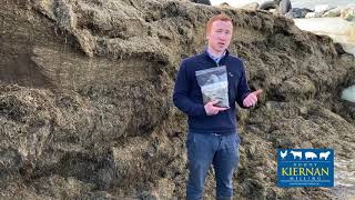 The importance of your silage test results - Sean McEnroe