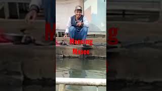 Mancing Mania