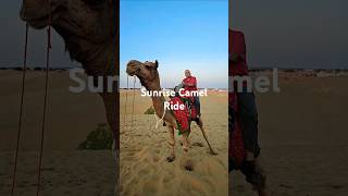 Sunrise Camel Ride - THAR Desert Jaisalmer Rajasthan