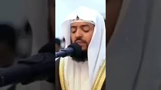 راحة لقلبك 😌🤍 ﴿ذَوَاتَا أَفْنَانٍ﴾ || #وديع_اليمني