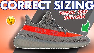 Sizing Guide for Yeezy 350 Beluga (2021) - Watch before ordering the Yeezy 350 v2 Beluga #shorts