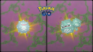 Pokemon Go: Evolving Shiny Koffing into Shiny Weezing