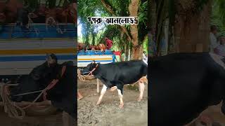 আমরাইদ হাট #viral #shorts #shortvideo #purbashaagro