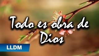 Todo es obra de mi Dios - Lilia Arely LLDM