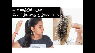 5 BEST TIPS TO STOP HAIRFALL IN 4  WEEKS |Tamilbeautytips